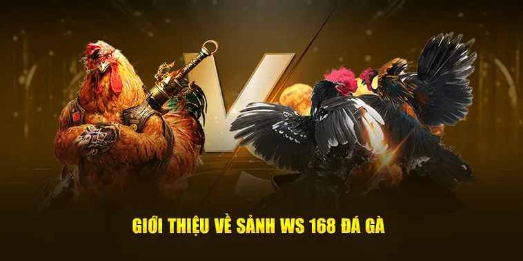 Tìm Hiểu Cách Chơi Đá Gà WS168 Tại ClubV Hấp Dẫn Nhất